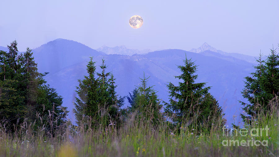 Moonrise In The Alps Mountains Meadow Photograph