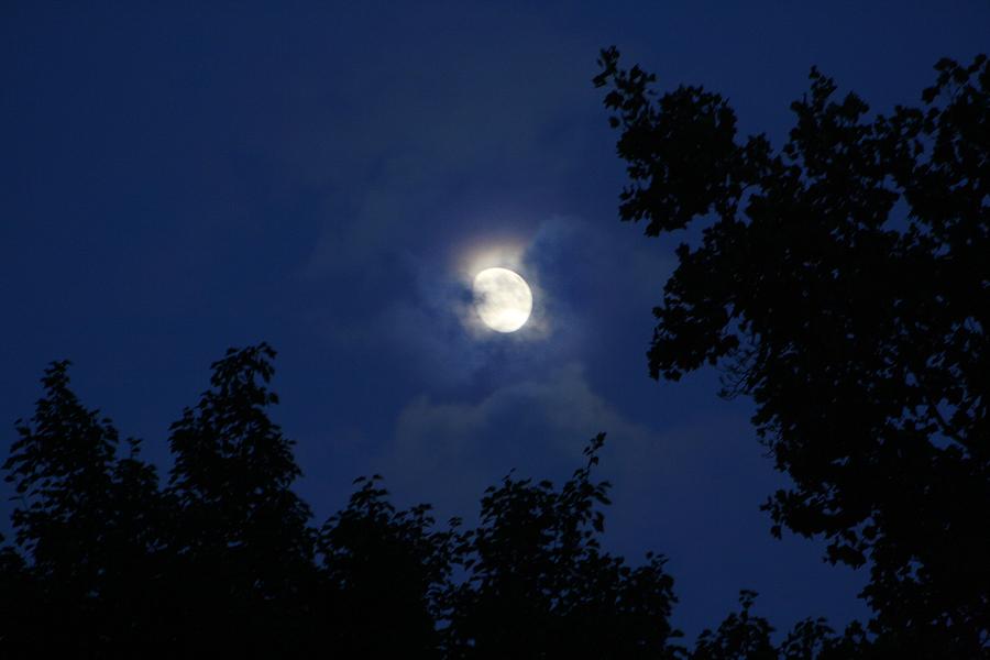 Moonrise in the Trees Photograph by Kathryn Meyer - Fine Art America