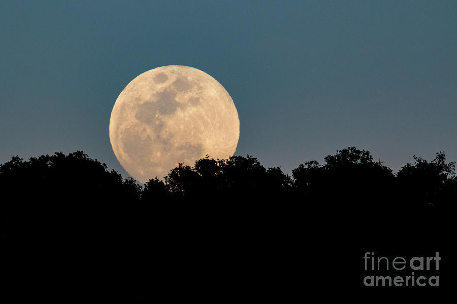 Moonrise Photograph by Mimi Ditchie