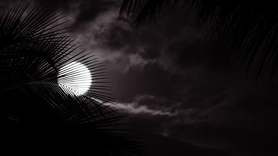 Moonrise Noir Photograph by Lawrence S Richardson Jr