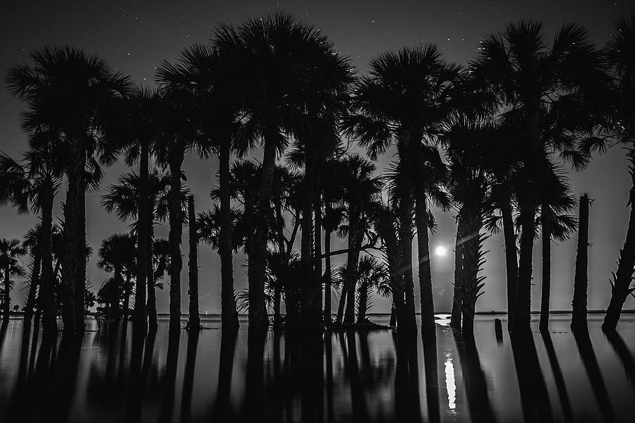 Moonrise over Flooded Lake Photograph by Stefan Mazzola