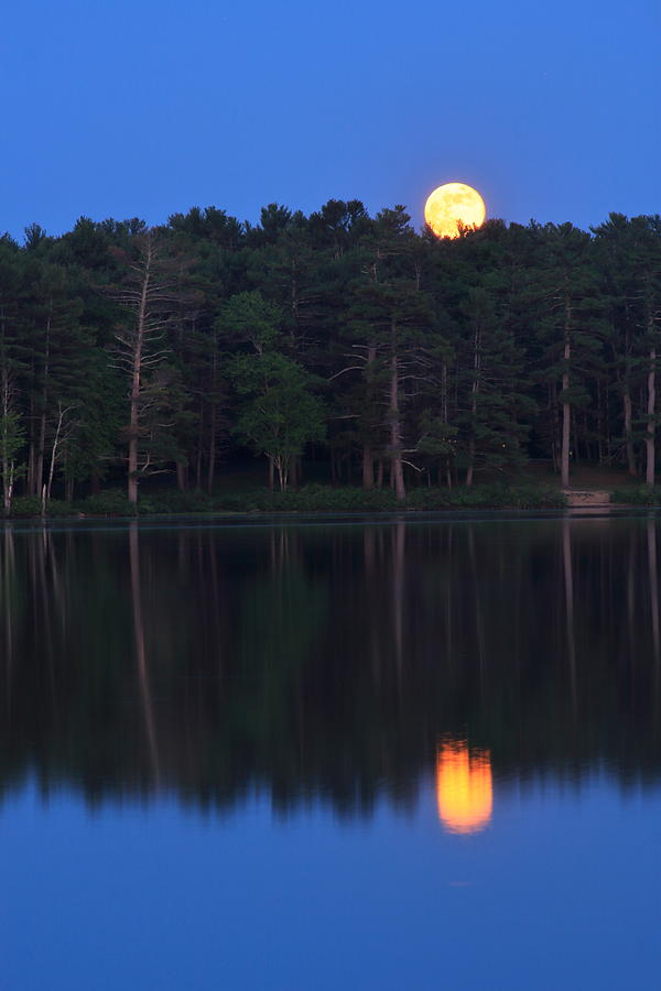 Moonrise Over Lake Photograph
