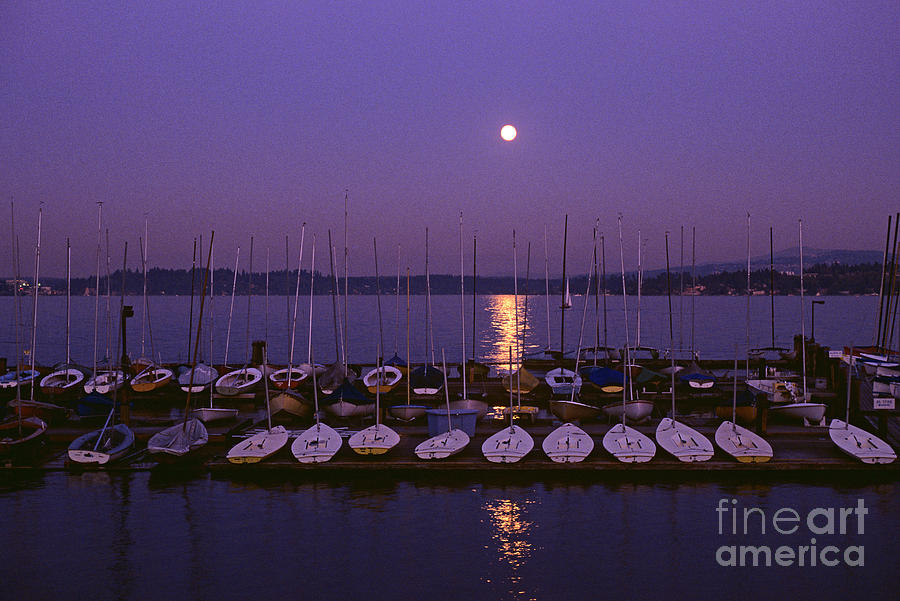 Moonrise over Lake Washington with marina Photograph by Jim Corwin