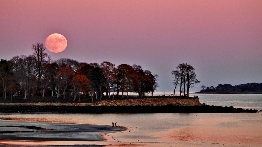 Moonrise over Lynch Park Photograph by Scott Hufford