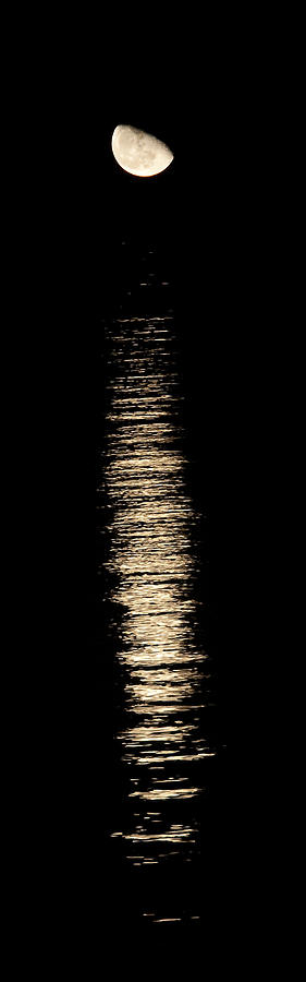 Chicago Photograph - Moonrise over Monroe Harbor Chicago 0158 by Michael Bessler