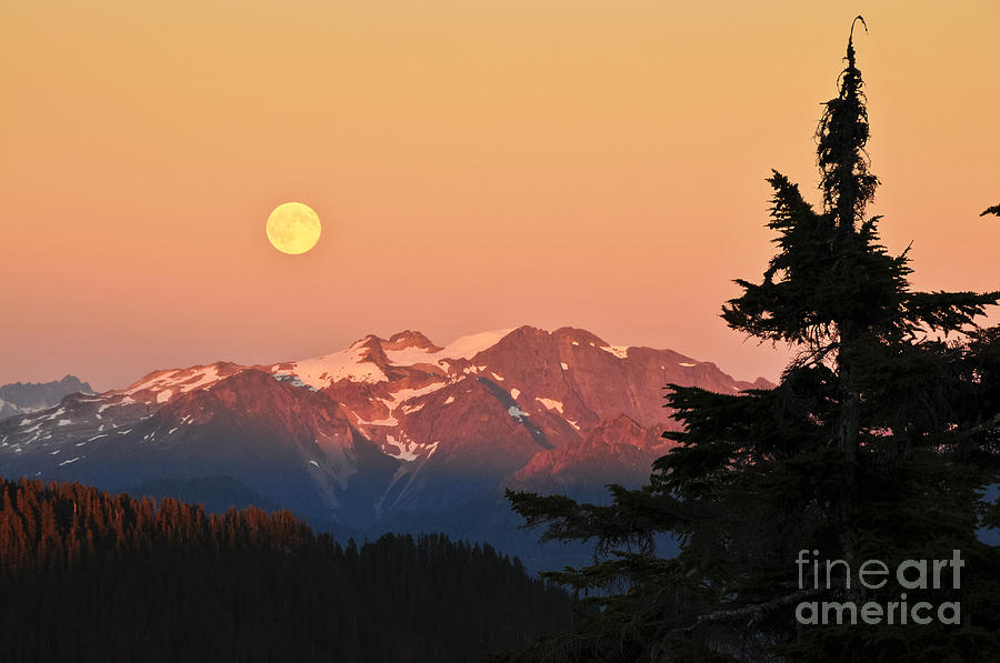 Moonrise over North Cascades Photograph by Greg Vaughn - Printscapes