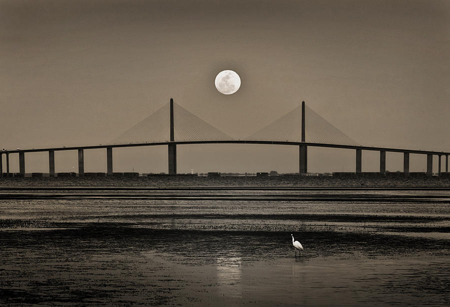 Egret Photograph - Moonrise Over Skyway Bridge by Steven Sparks