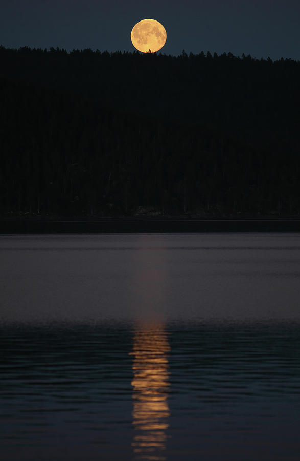 Moonrise over Syerminjarga Photograph by Pekka Sammallahti