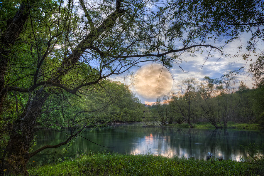 Moonrise Over the Lake Photograph by Debra and Dave Vanderlaan