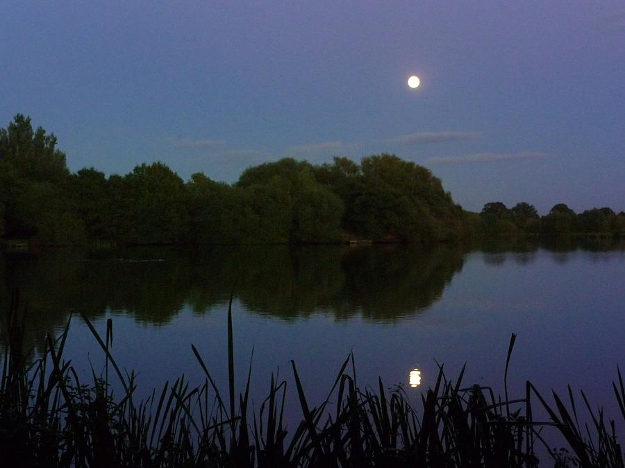 Tree Photograph - Moonrise Over The Lake by Giovanni Giuliano