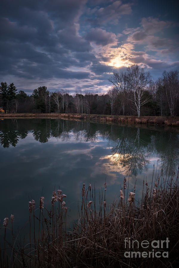 Rochester Photograph - Moonrise over the Pond by Scott Thorp