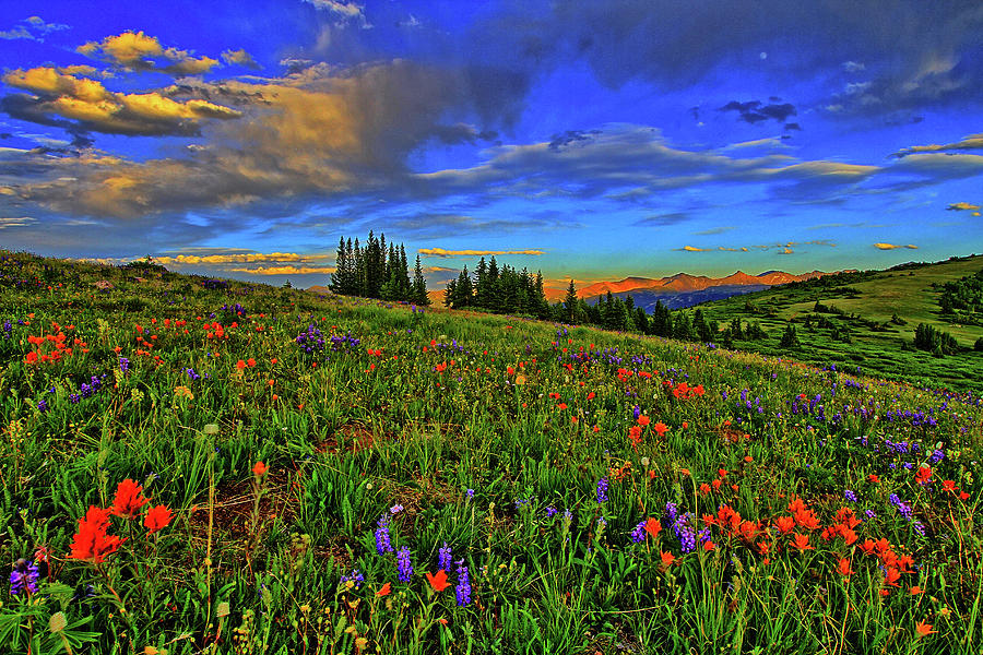 Sunset Photograph - Moonrise over the Wildflowers by Scott Mahon