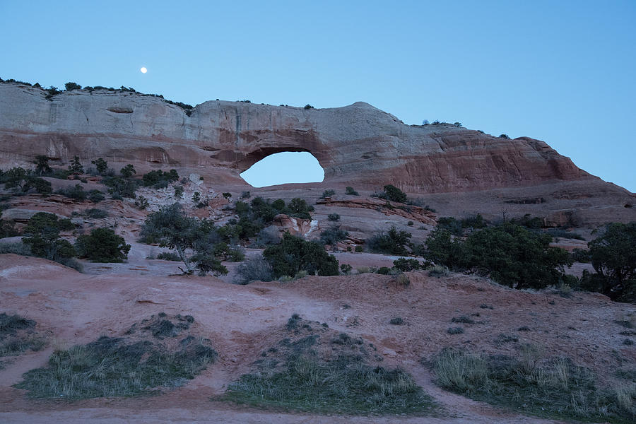 Moonrise Over Wilson Arch Photograph by Tom Cochran