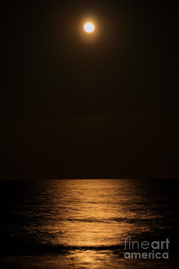 Moonrise Photograph by Pat Moore