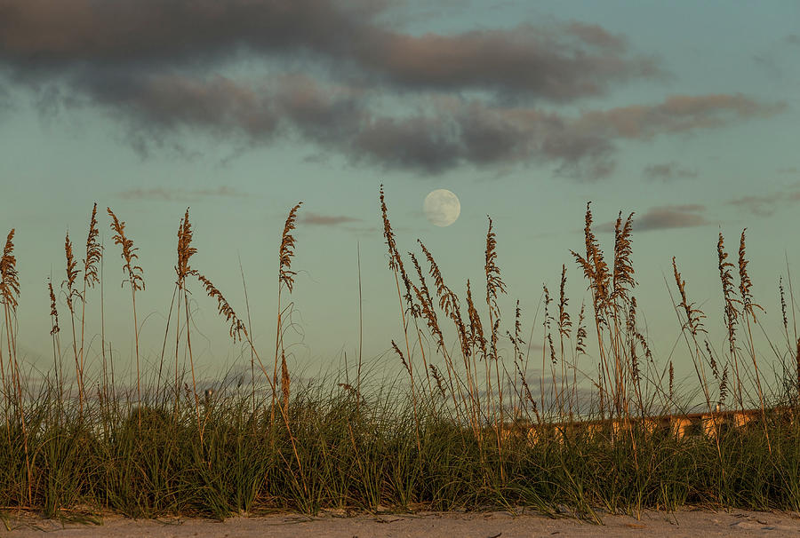 Moonrise St. Pete Beach Photograph by Eilish Palmer