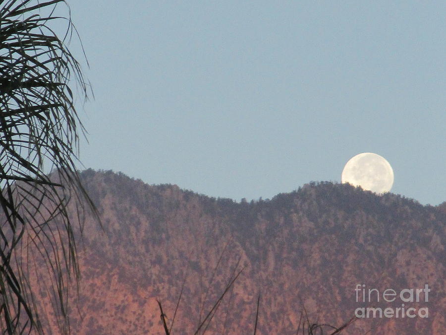 Moonset 5 Photograph by Randall Weidner