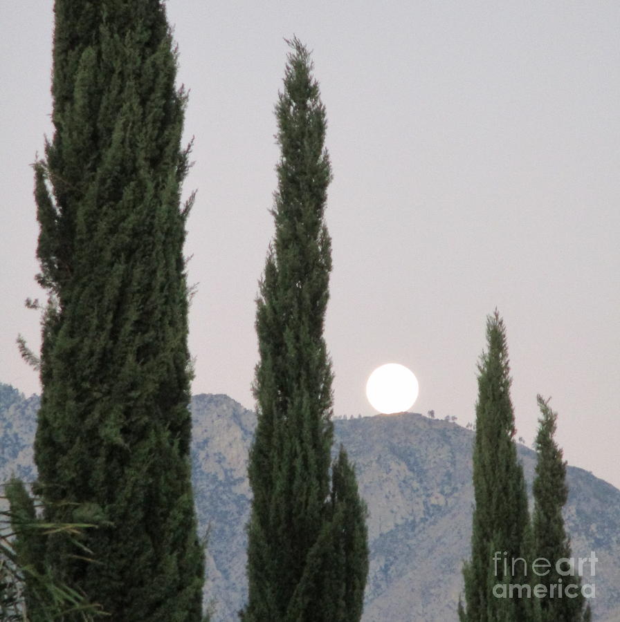 Moonset 8 Photograph by Randall Weidner