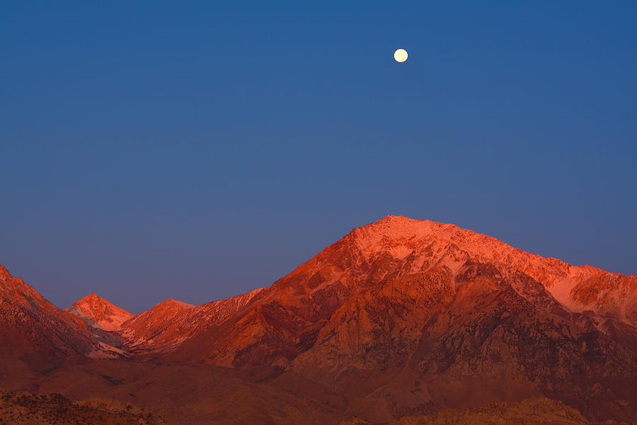 Moonset at Dawn above Mount Tom - Eastern Sierra California Photograph by Ram Vasudev