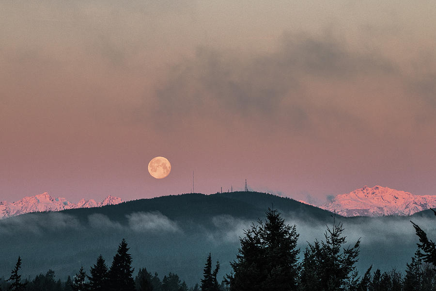Moonset at Dawn Photograph by E Faithe Lester