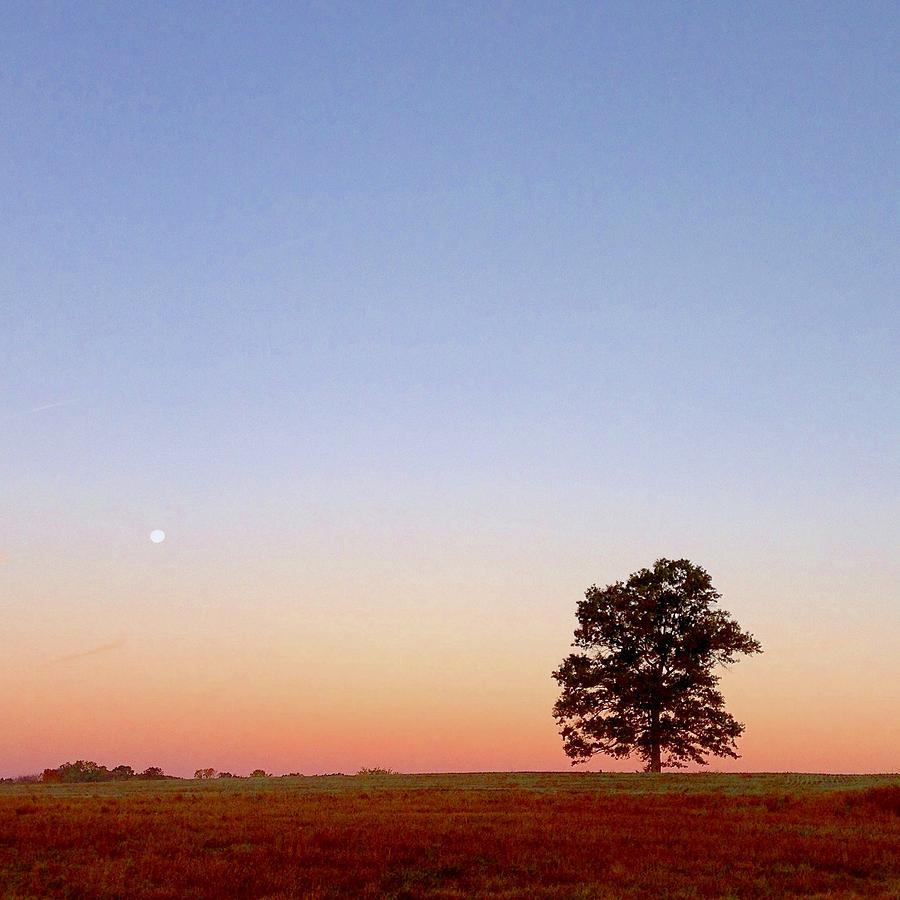 Moonset at Sunrise Photograph by Lexi Heft