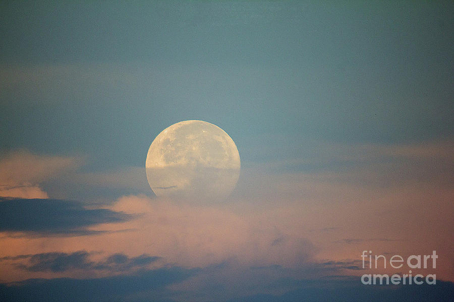Moonset Photograph by Bob Hislop
