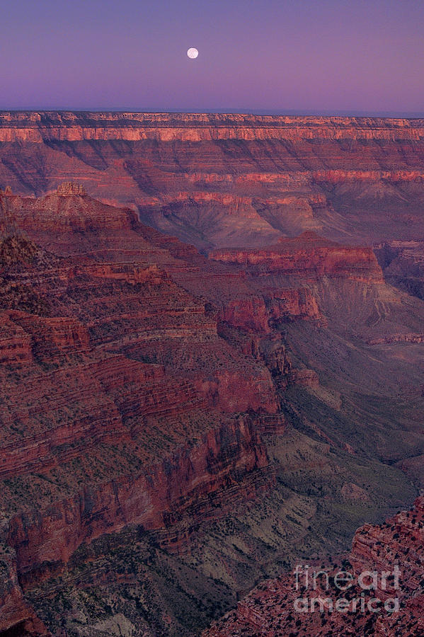 Moonset From Cape Royal North Rim Grand Canyon Nation Photograph by Dave Welling