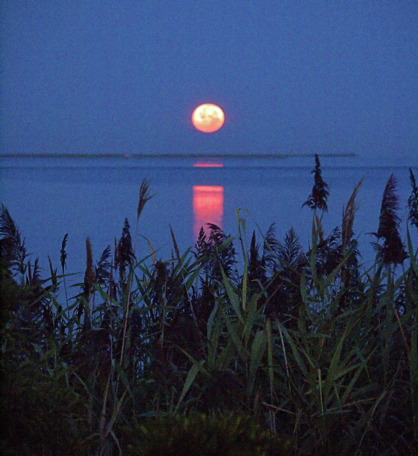 Moonset Photograph by Newwwman