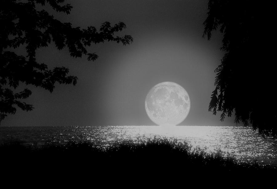 Moonset On Lake Erie Photograph by Kenneth Krolikowski
