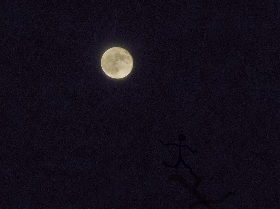 Moon Photograph - Moonshadow by Deborah Moen