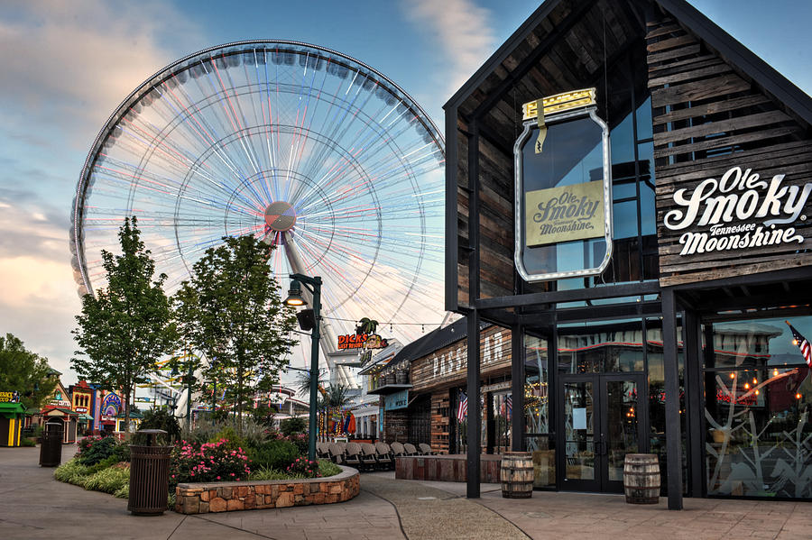 Flower Photograph - Moonshine And The Spinning Wheel by Greg and Chrystal Mimbs