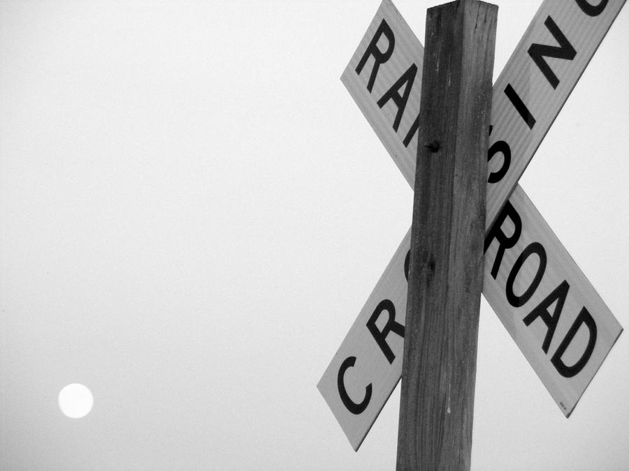 Moonshine Crossing Photograph by Edward Smith