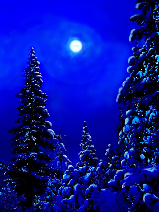 Moonshine On Snowy Pine Digital Art by Greg Hammond