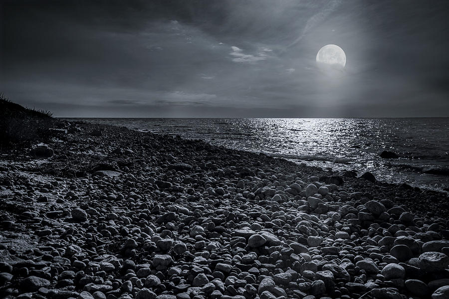 Moonstone Beach Photograph by Robin-Lee Vieira