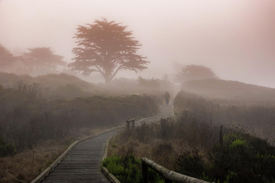 Moonstone Mist Photograph by David A Litman