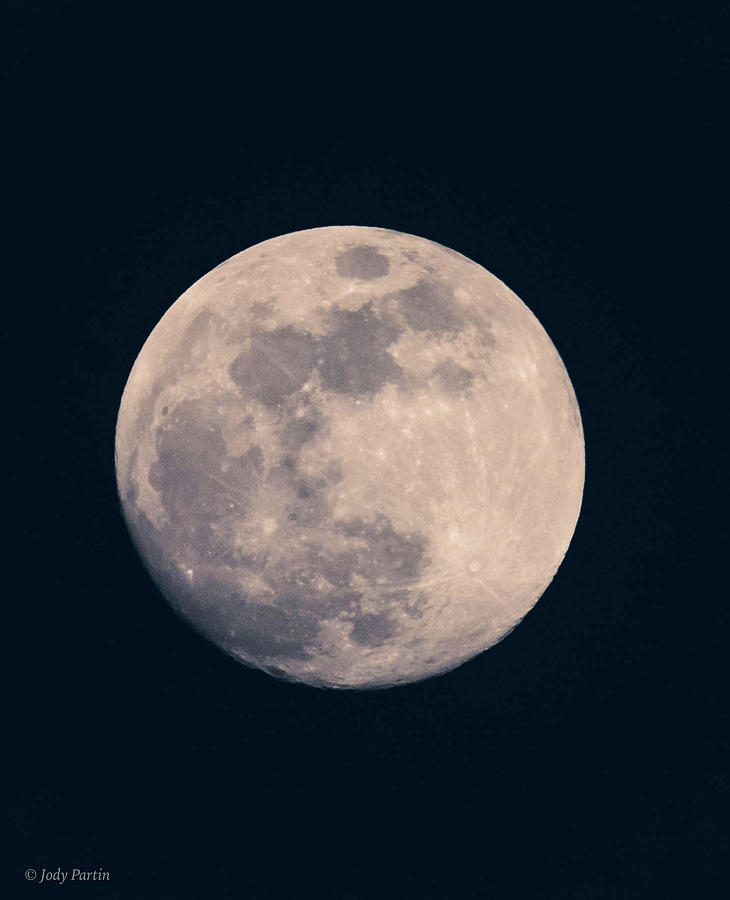 Moonstruck Photograph by Jody Partin