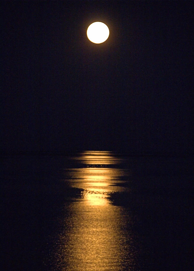 Moonstruck Photograph by Newwwman
