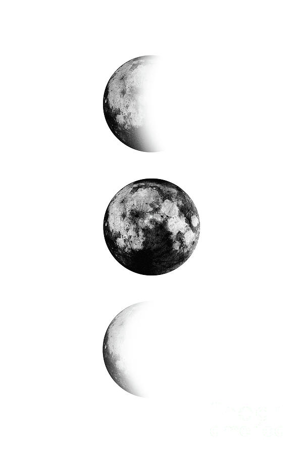 moon designs