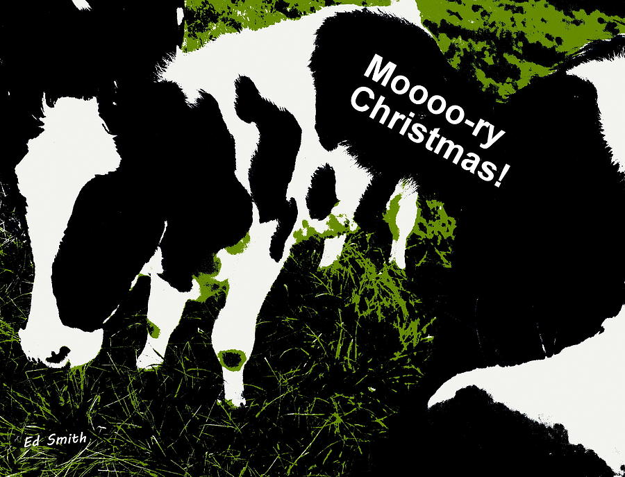 Moooory Christmas Photograph by Edward Smith