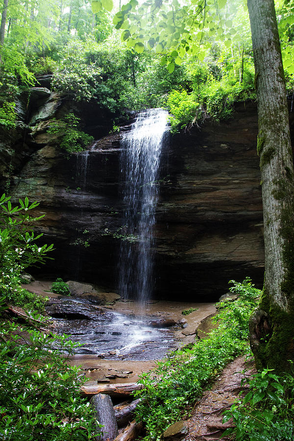 Moore Cove Falls Photograph by Cassandra NightThunder - Fine Art America