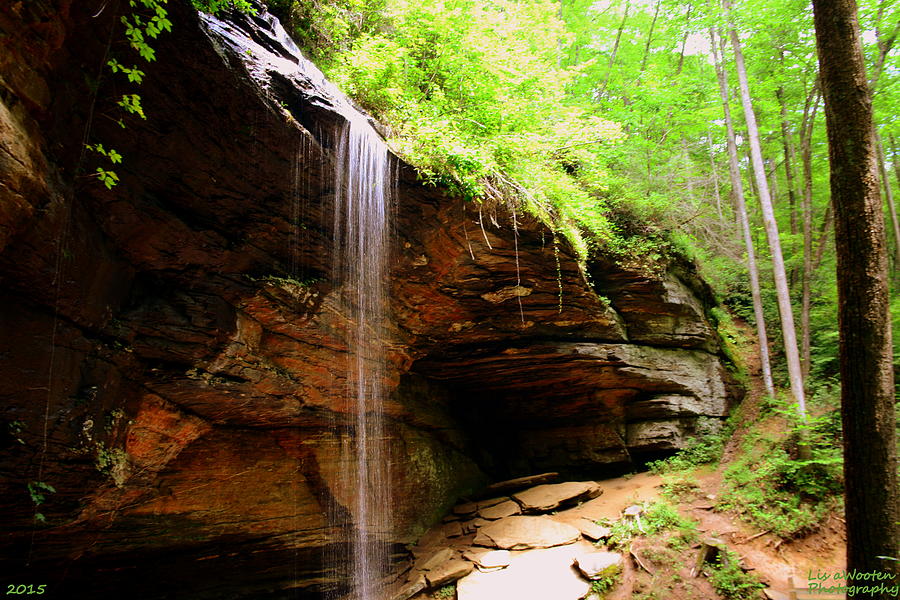 Moore Cove Falls NC Photograph by Lisa Wooten - Fine Art America