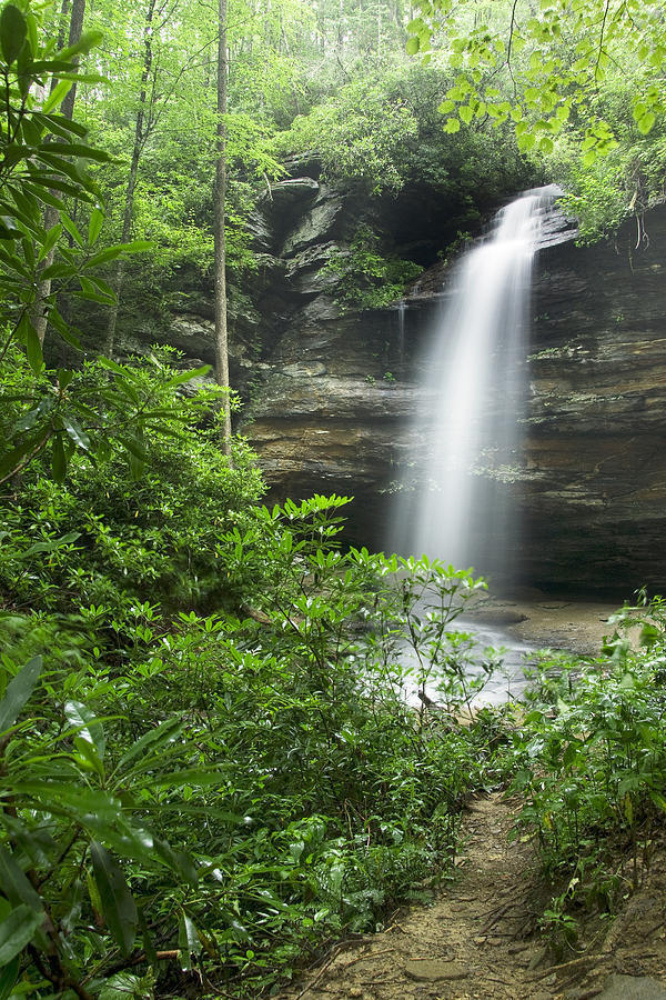 Moore Cove Falls - Pisgah National Forest - Brevard NC Photograph by ...