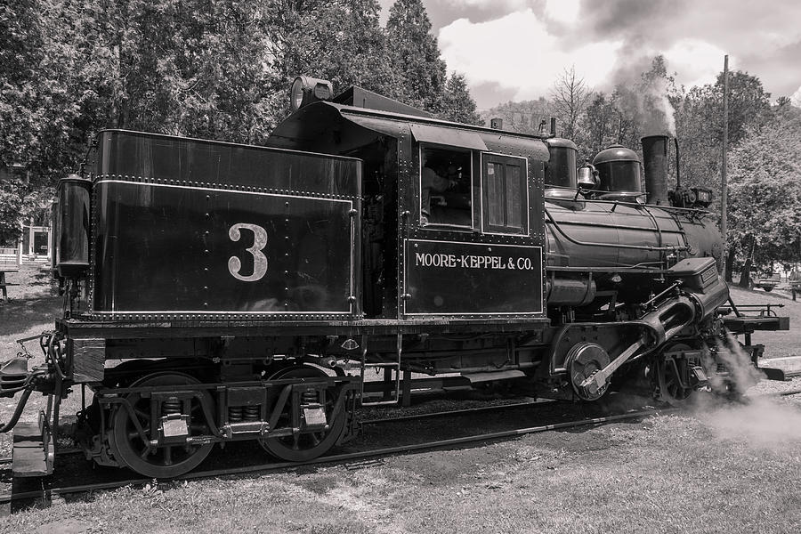 Moore Keppel and Co. Train Photograph by Mary Almond