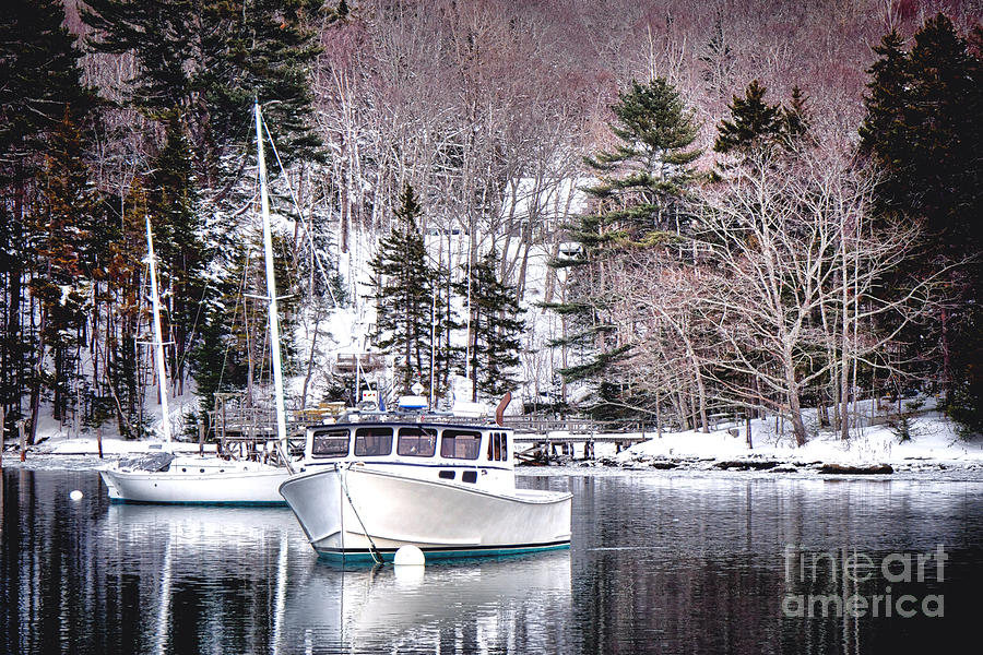 Moored Boats in Maine Winter  Photograph by Olivier Le Queinec