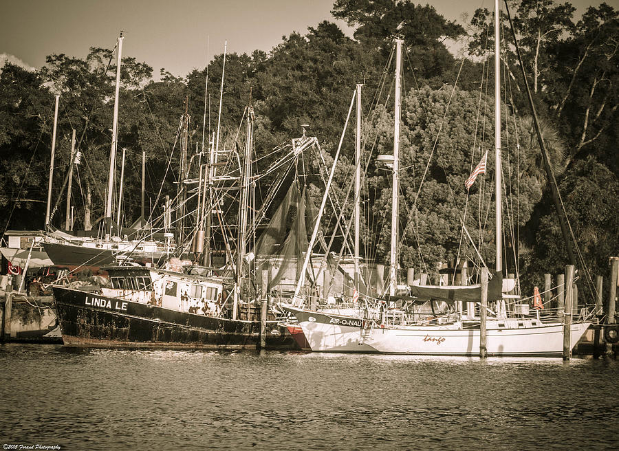 Moored Boats in Watson Bayou 2 Photograph by Debra Forand
