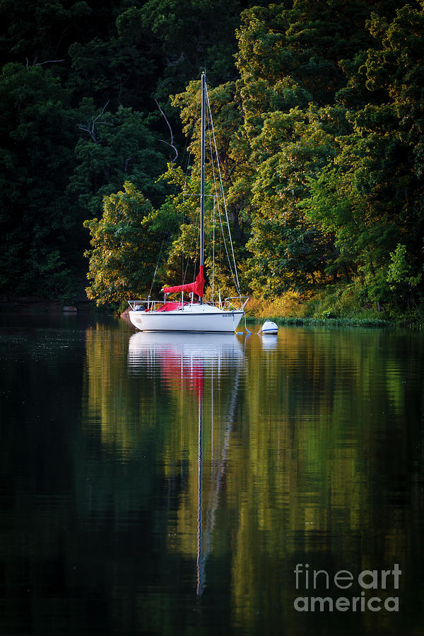 Moored Photograph by Dennis Hedberg