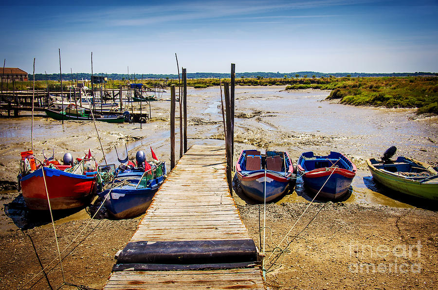 Transportation Photograph - Moored Fishing Boats by Carlos Caetano