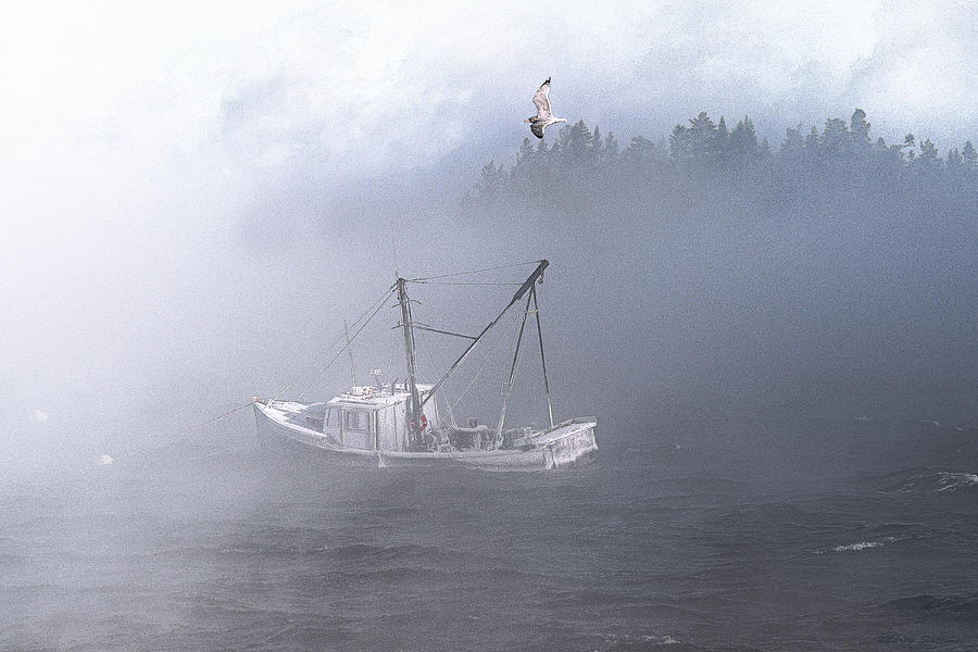 Moored in Blustery Sea Smoke Photograph by Marty Saccone