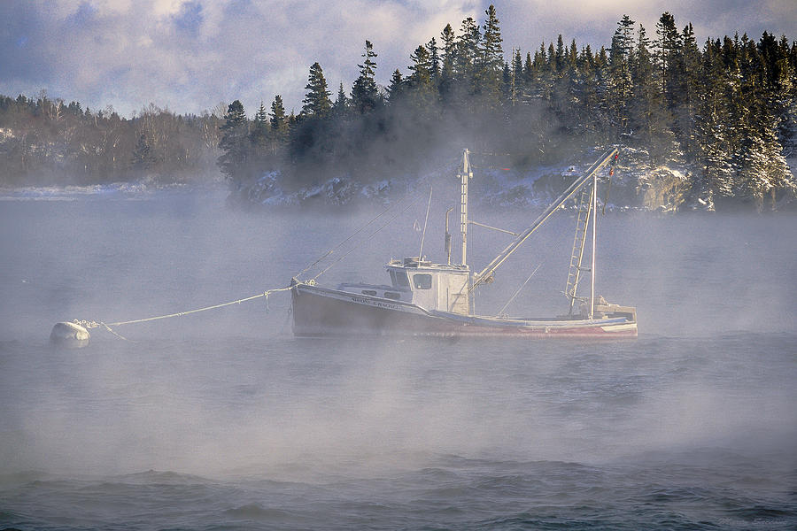 Fog Photograph - Moored in Sea Smoke by Marty Saccone