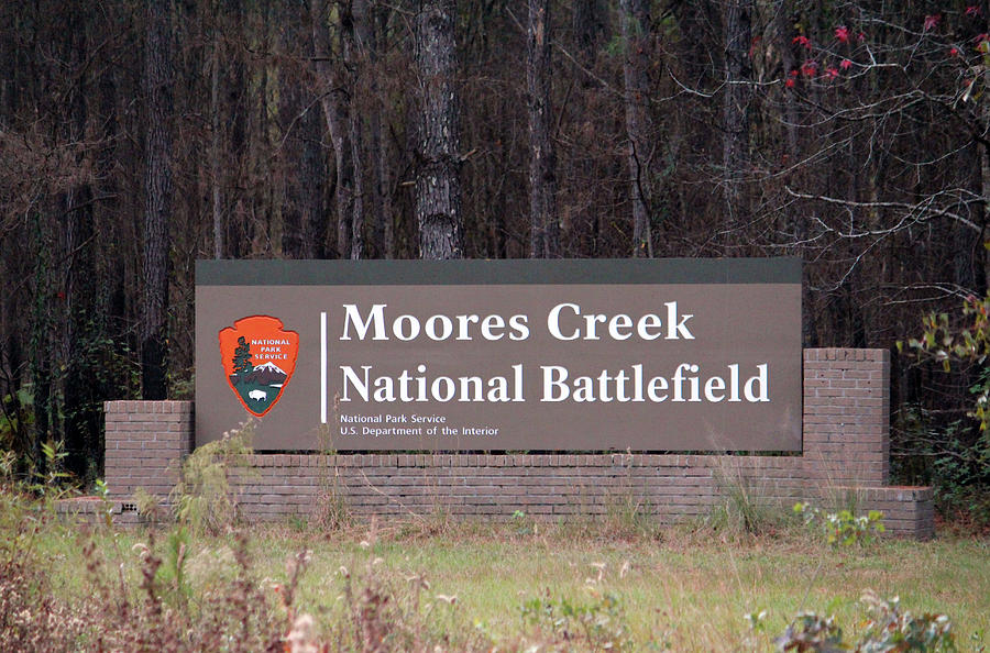 Moores Creek National Battlefield Photograph by Cynthia Guinn