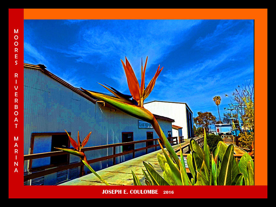 Moores RiverBoat Marina 2016 Digital Art by Joseph Coulombe